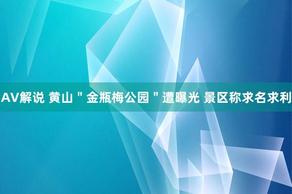 AV解说 黄山＂金瓶梅公园＂遭曝光 景区称求名求利