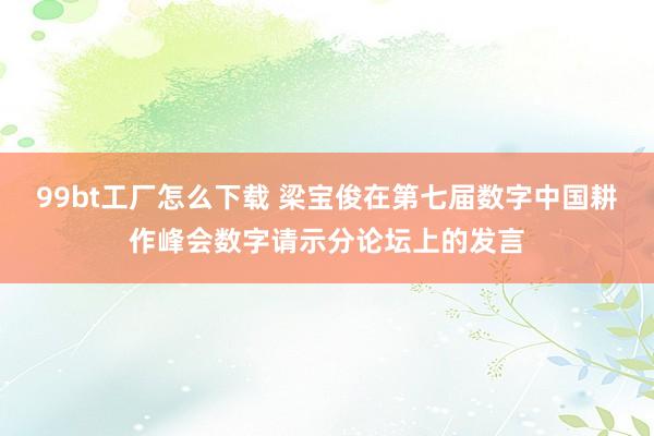 99bt工厂怎么下载 梁宝俊在第七届数字中国耕作峰会数字请示分论坛上的发言