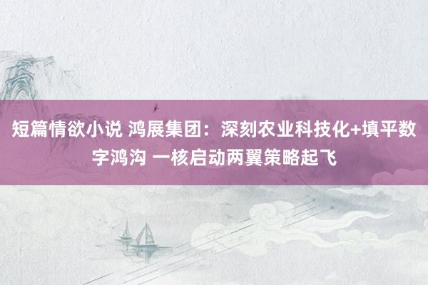 短篇情欲小说 鸿展集团：深刻农业科技化+填平数字鸿沟 一核启动两翼策略起飞