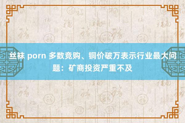 丝袜 porn 多数竞购、铜价破万表示行业最大问题：矿商投资严重不及